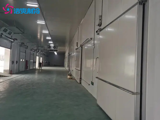 食品類低溫冷凍庫上門安裝 食品類低溫冷凍庫上門安裝