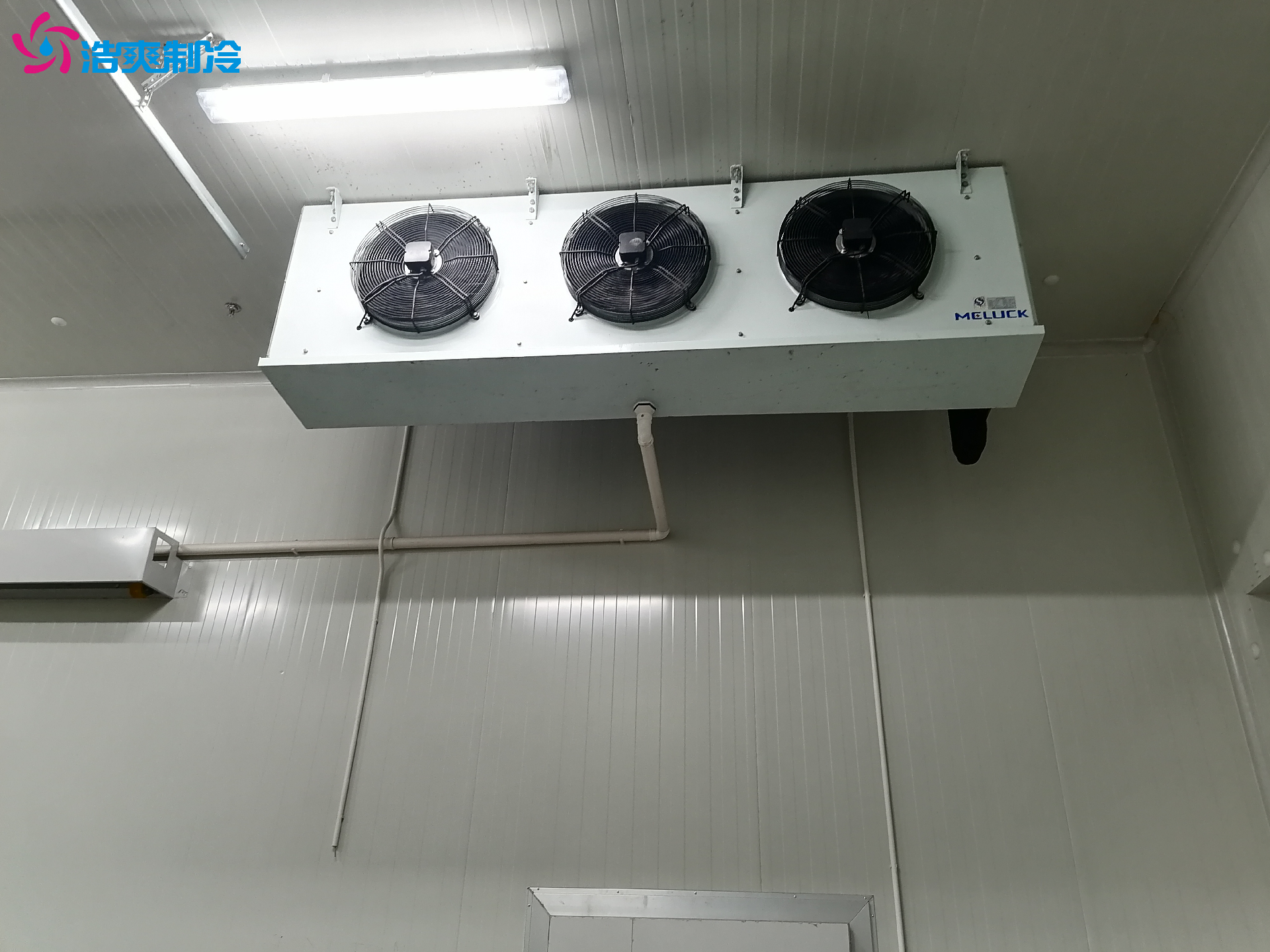 1684831890201352.png 1684831890201352.png