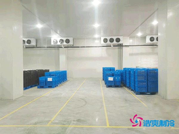 速凍冷庫設計建造