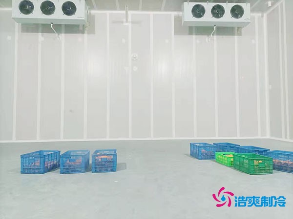 200噸蔬菜保鮮冷庫造價多少錢？需要多大面積？