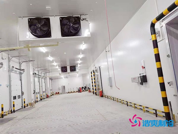 20000平冷庫造價