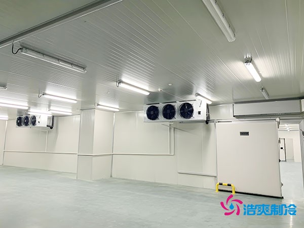 建造500平方米冷藏庫(kù)的造價(jià)及相關(guān)因素分析