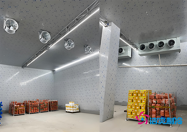 1000噸果蔬保鮮庫造價揭秘，節省成本就靠這幾點！