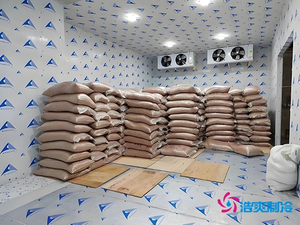 2萬起建種子冷庫?這些因素讓造價翻倍!