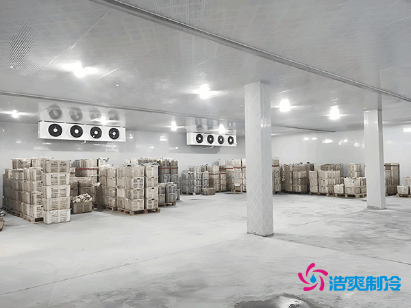 零下35℃制冰！建一個(gè)冷庫到底要花多少錢？