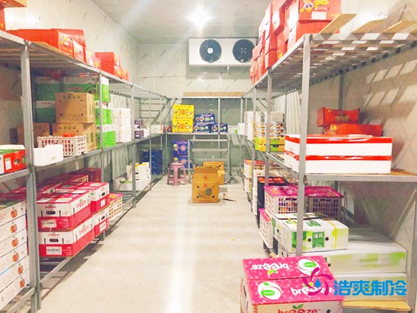 5噸水果需要多大冷庫？答案出乎意料！