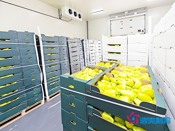 氣調(diào)保鮮冷庫(kù)造價(jià)