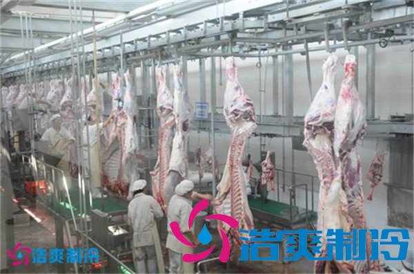 1000平米屠宰場冷庫(豬肉冷凍庫)