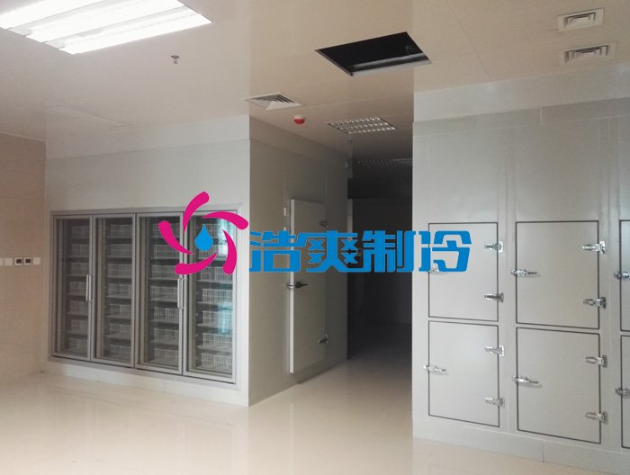 浩爽制冷,后補(bǔ)式疫苗冷庫