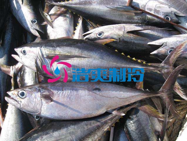 浩爽制冷，海鮮冷凍庫