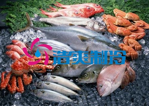 浩爽制冷,海鮮冷凍庫、食品冷凍庫