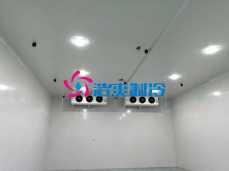 浩爽制冷，巧克力冷藏庫