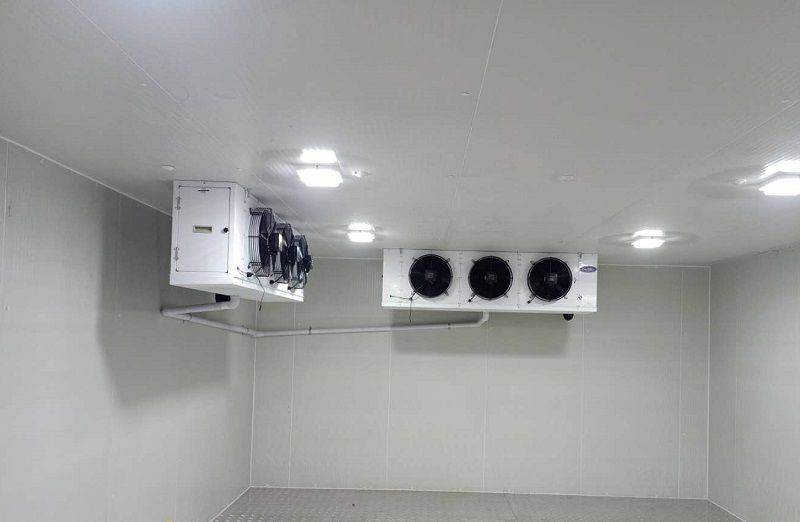 浩爽制冷,板栗保鮮冷庫